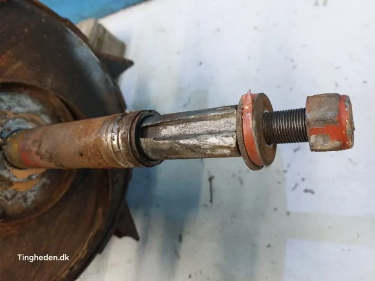 Billede 4 - Laverda 627 Tærskecylinder 321808650