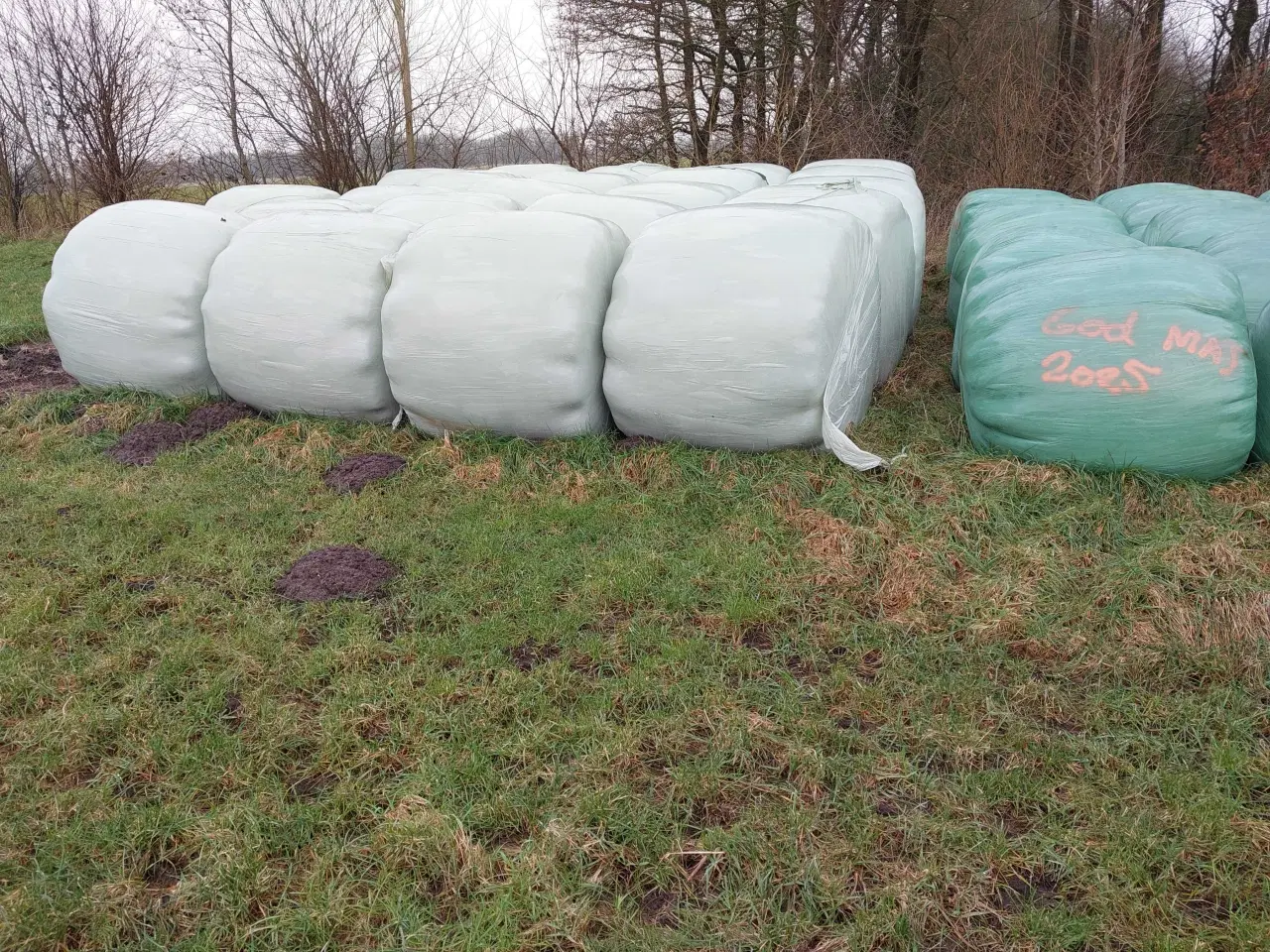 Billede 1 - Foder til kreaturer og heste 