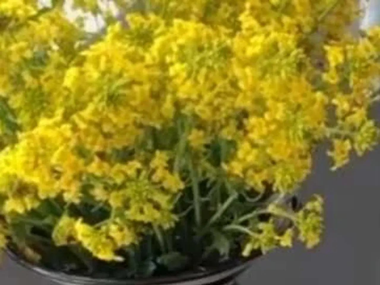 Billede 4 - Malene Møller Hansen kunst keramik