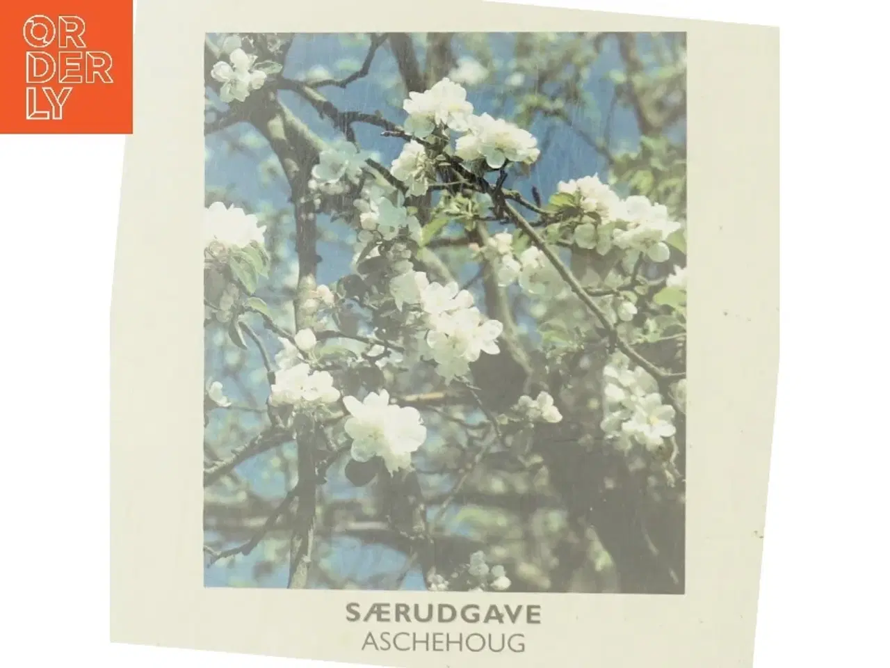 Billede 3 - Den Lille Havebog af Martin Stangl (Bog)