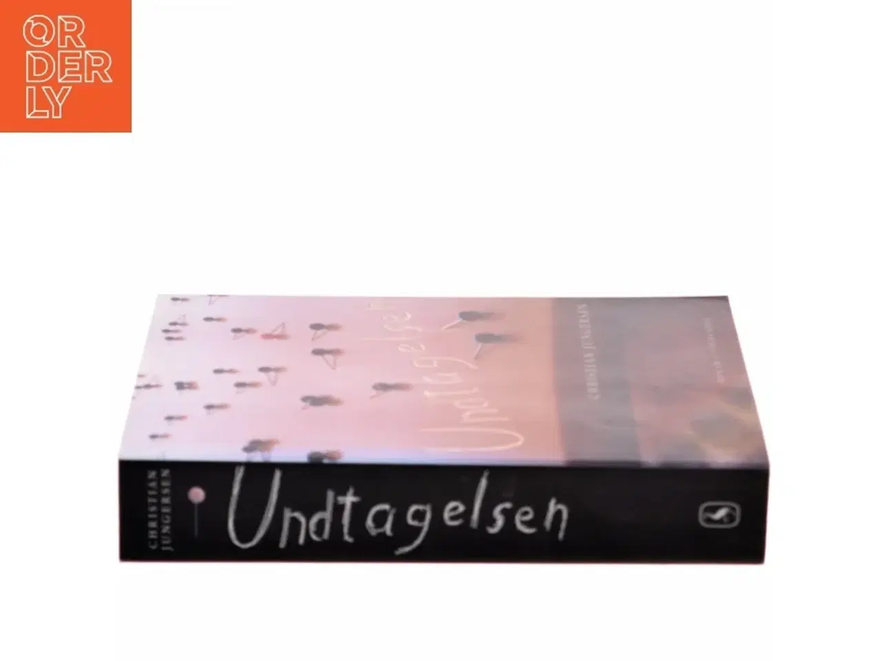 Billede 2 - Undtagelsen af Christian Jungersen (Bog)