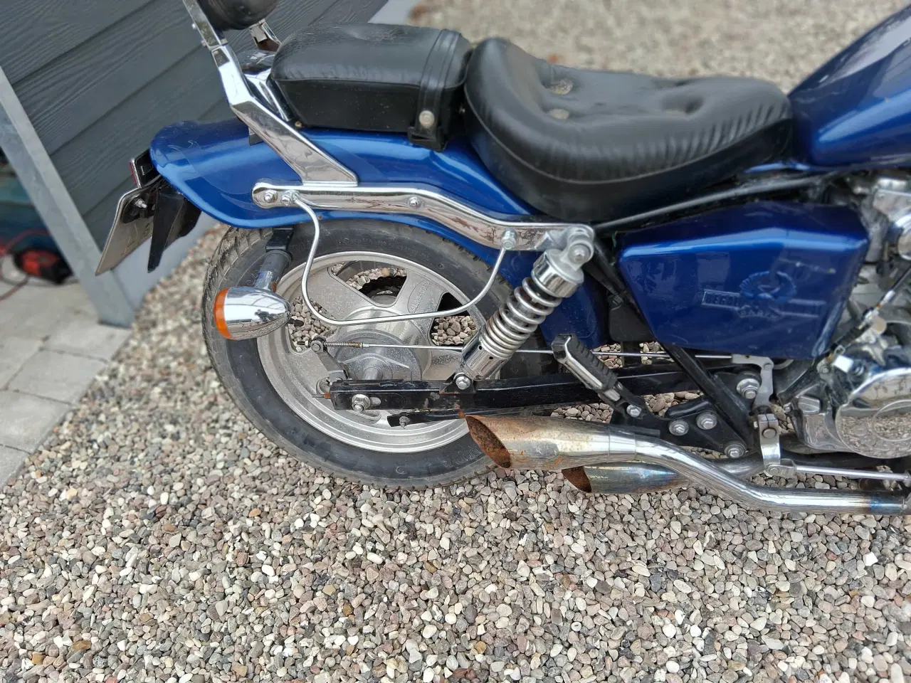 Billede 2 - Raptor regal, dadyw