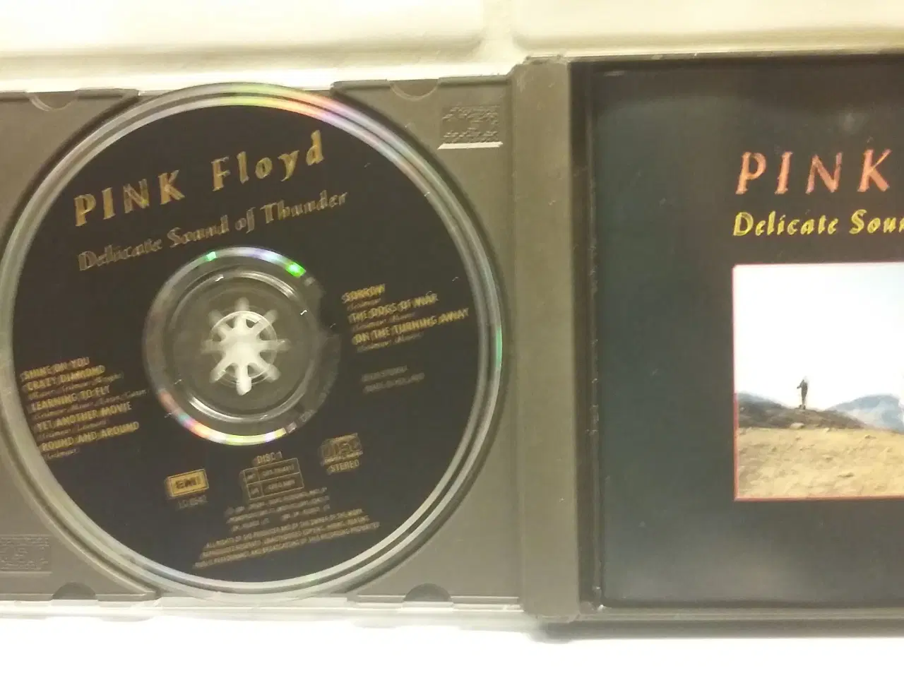 Billede 3 - Pink Floyd Delicate Sound of thunder