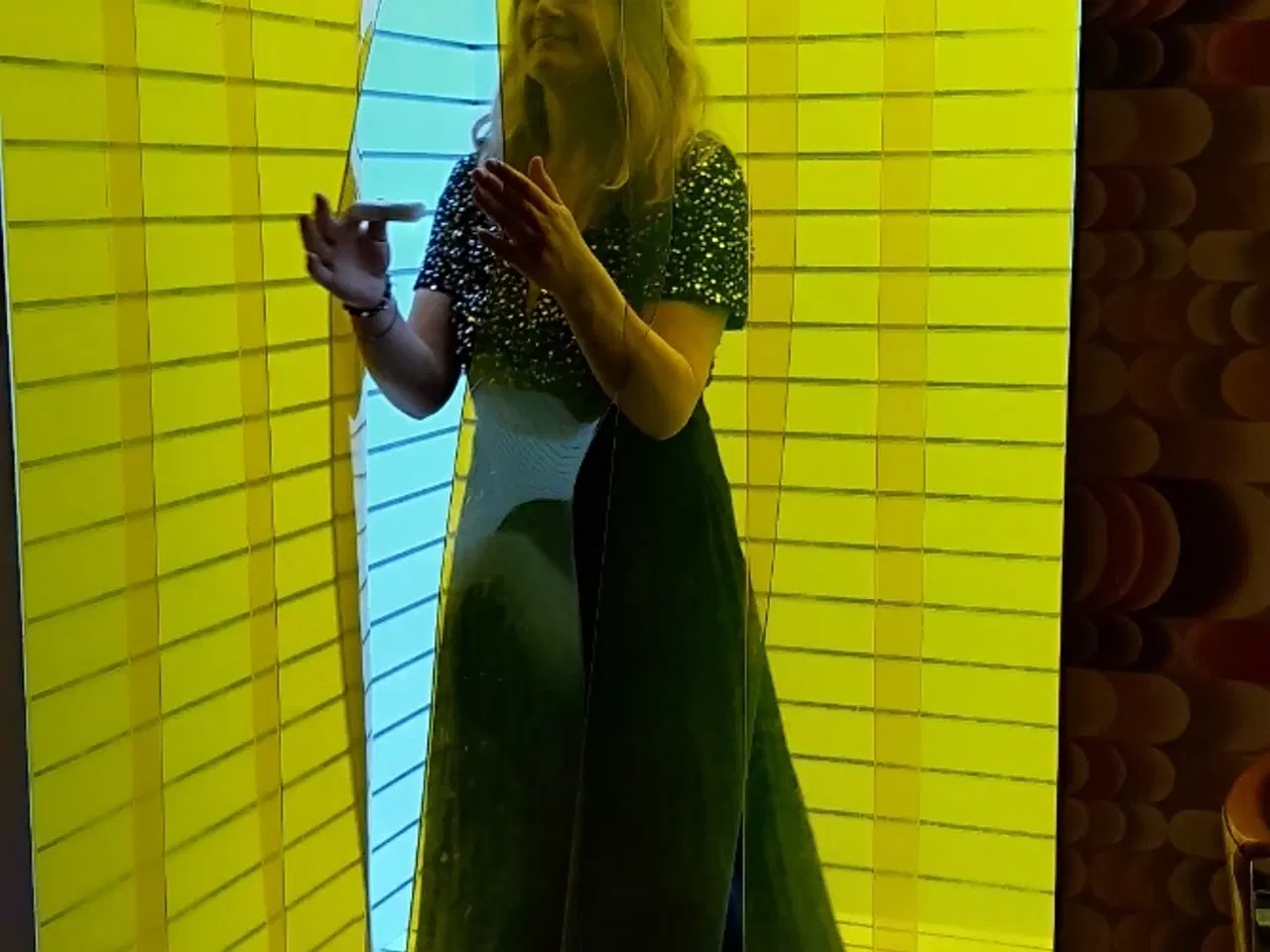 Billede 1 - Han kattekilling modtages 