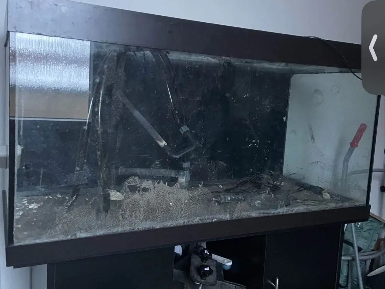 Billede 3 - Akvarie Juwel Rio 400