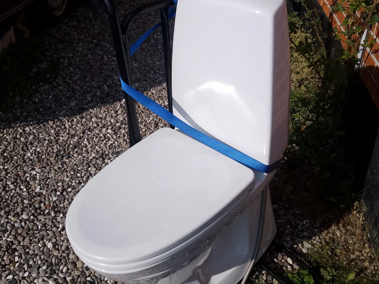 Billede 3 - Ifö toilet