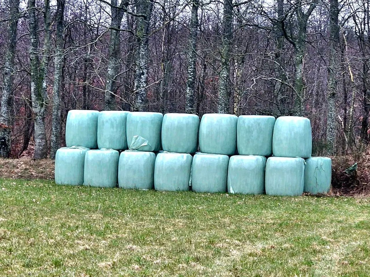 Billede 4 - Wrap af kløvergræs