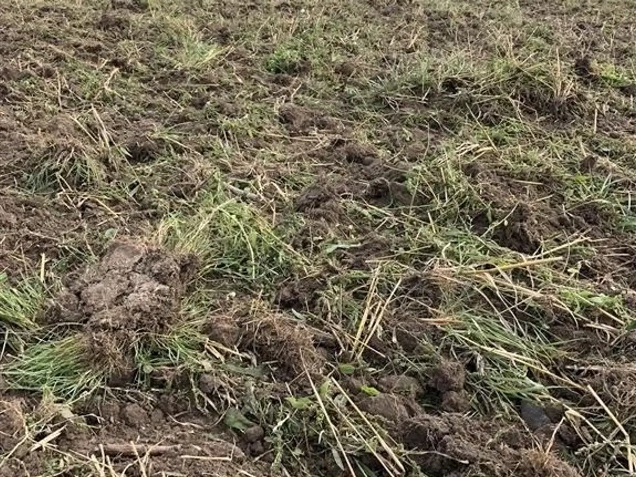 Billede 13 - Kuhn Prolander 7500