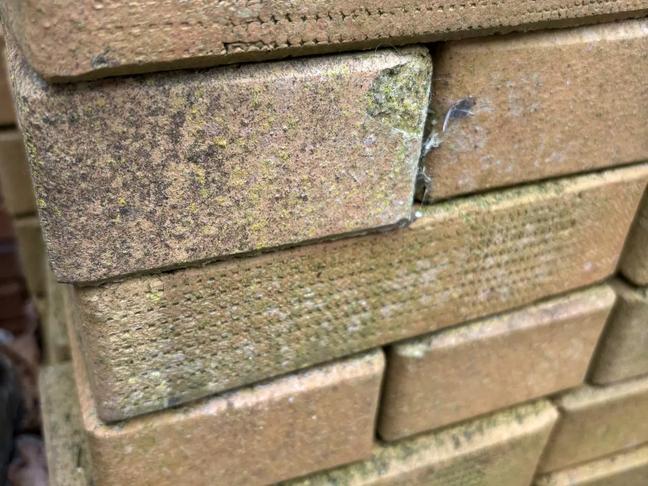 Billede 3 - Røde teglklinker