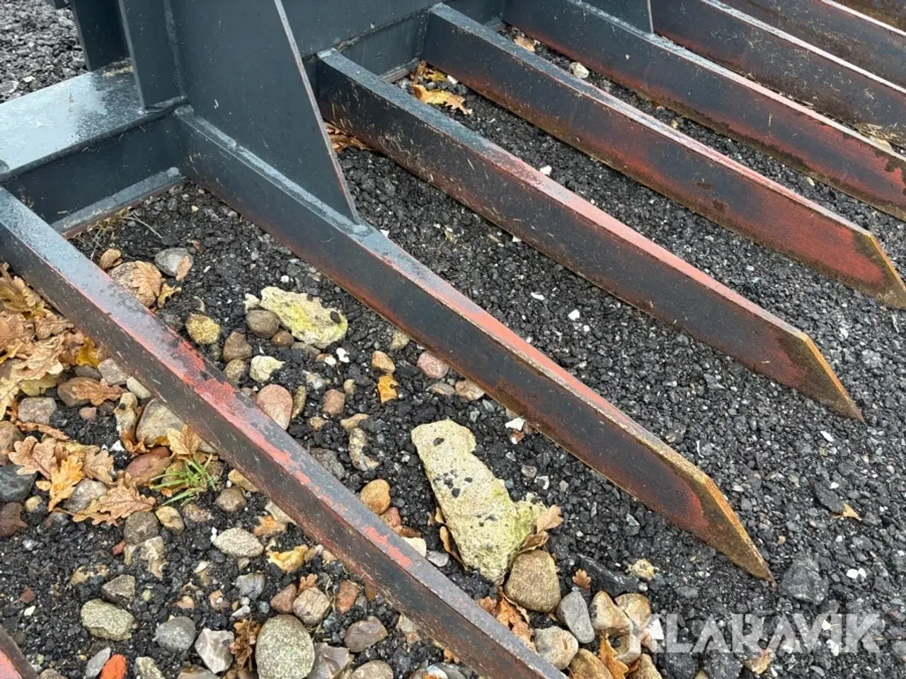 Billede 10 - Græsgrev