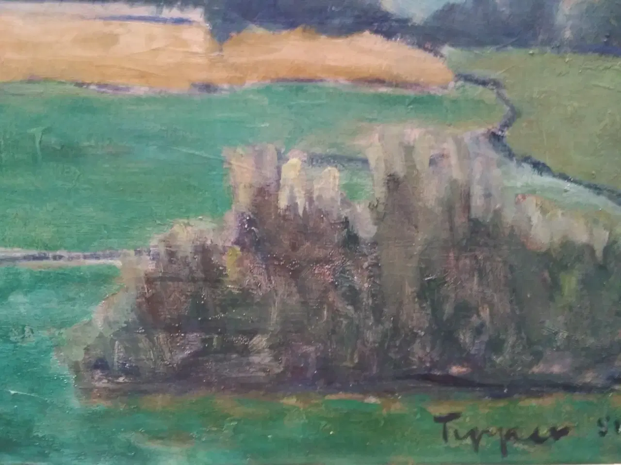 Billede 2 - Tipper maleri