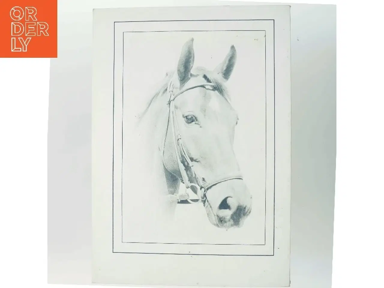 Billede 3 - Equus 80 (Bog)