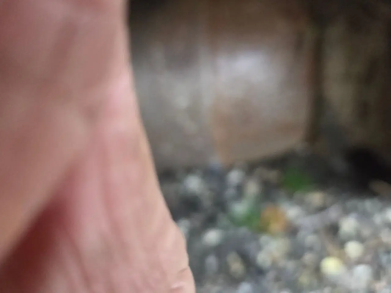 Billede 6 - Müthing MU-M 600F