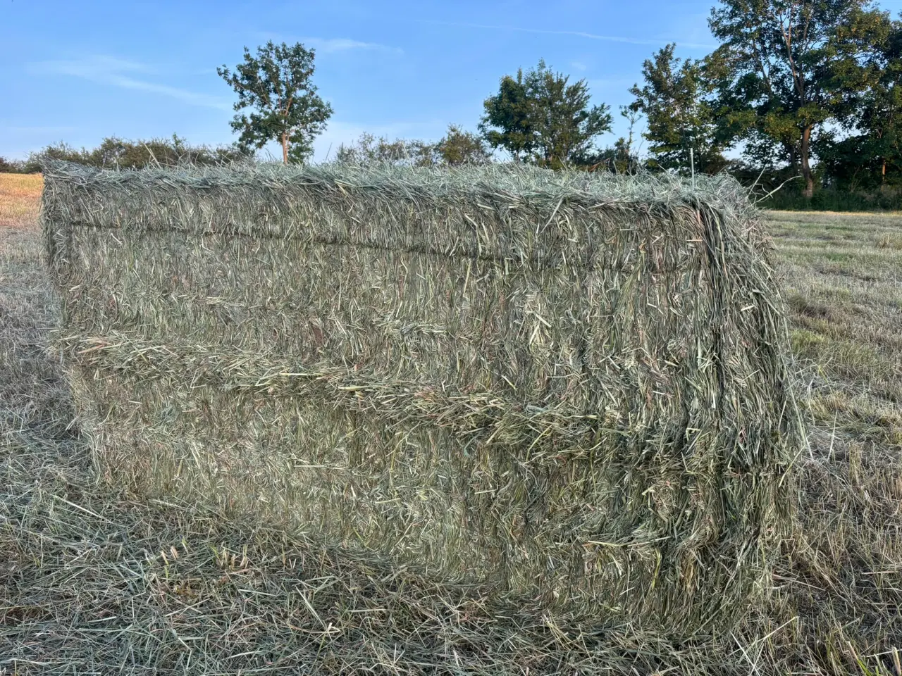 Billede 3 - Wrap hø 2025 (Wrappet)