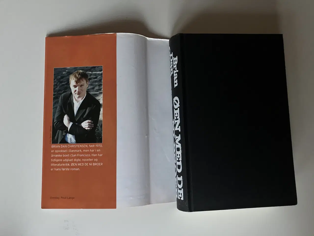 Billede 3 - Øen med de ni broer. Af Brian Dan Christensen 