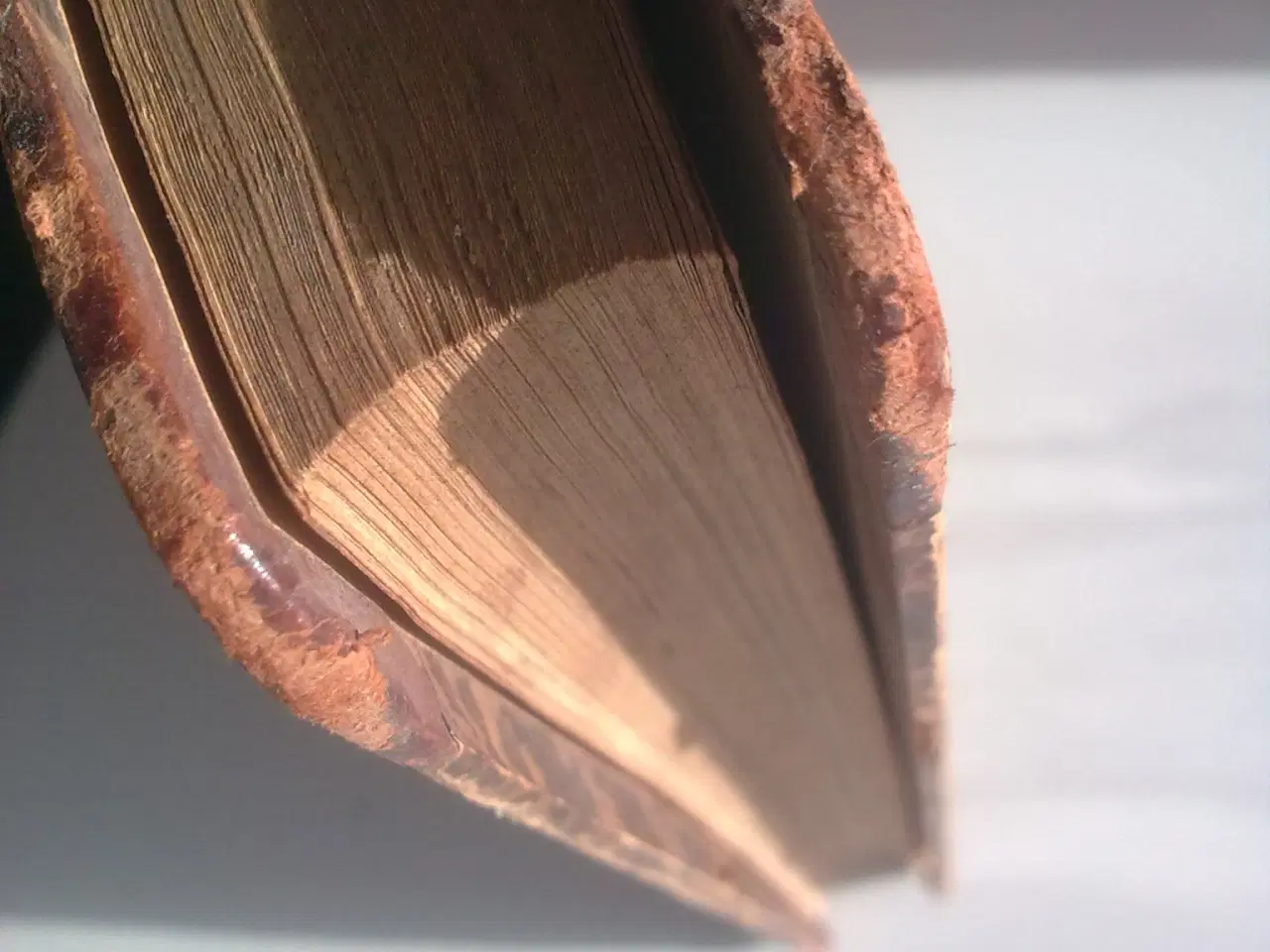 Billede 4 - Usynlig bog om Amerika fra 1897