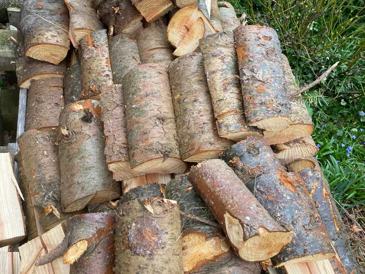 Billede 4 - Brænde  gran