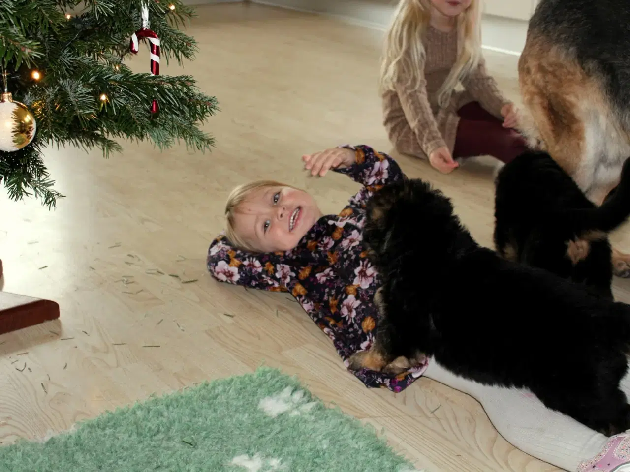 Billede 8 - Fynske julebamser! 