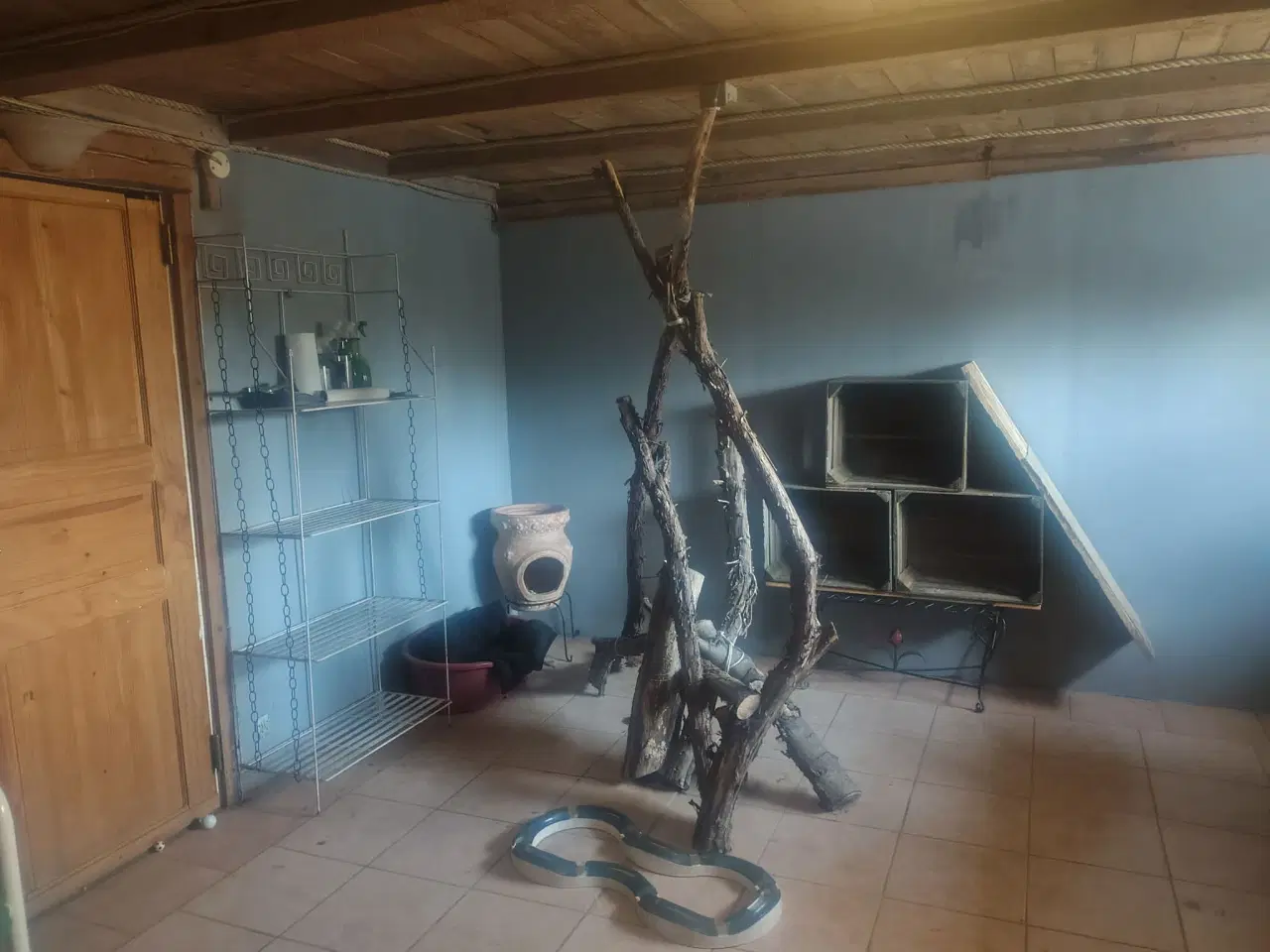 Billede 5 - Dexter tilbyder Parring