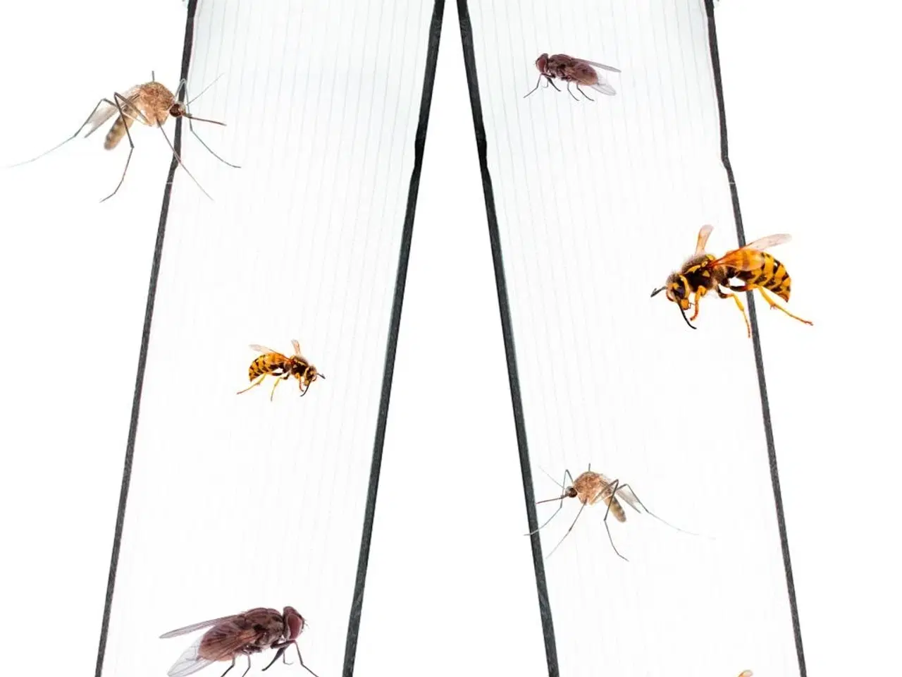Billede 12 - Magnetisk myggenet til dør – 85 × 210 cm, sort