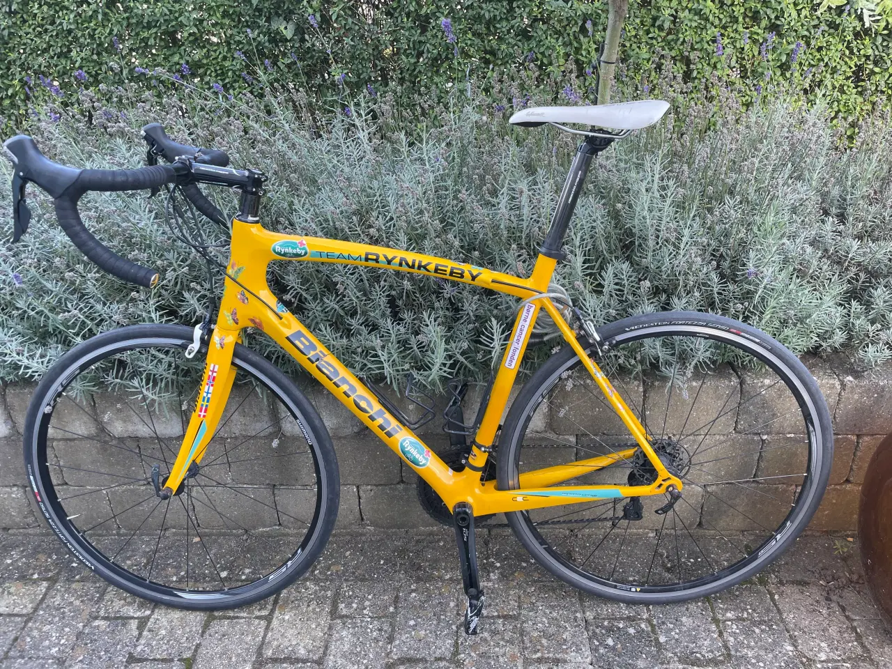 Billede 1 - Team Rynkeby Cykel (2015) 60 cm