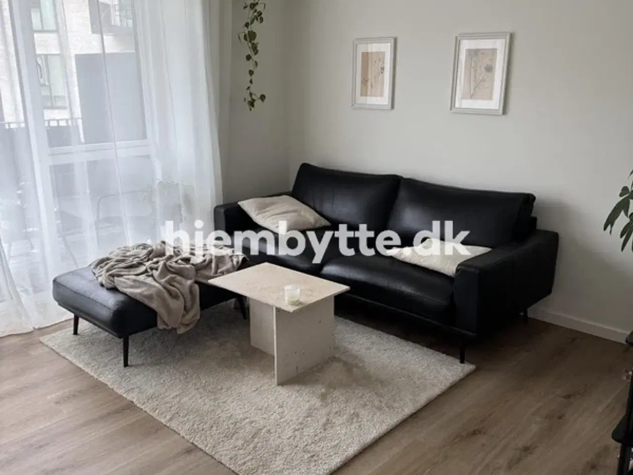 Billede 2 - Hjembytte - Torvestrædet