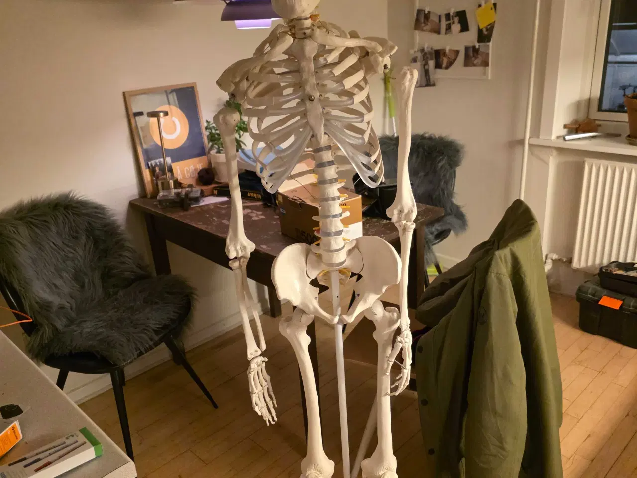 Billede 4 - Udstilling/undervisnings skellet 