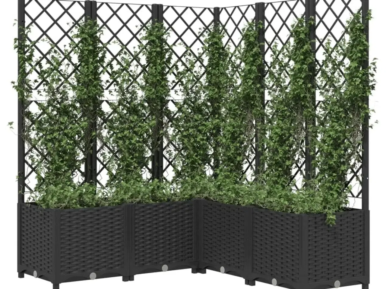 Billede 3 - Plantekasse med espalier 120x120x136 cm PP sort