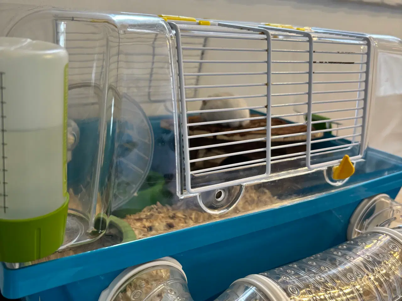 Billede 3 - To Dværghamster til salg+ alt tilbehør og bur