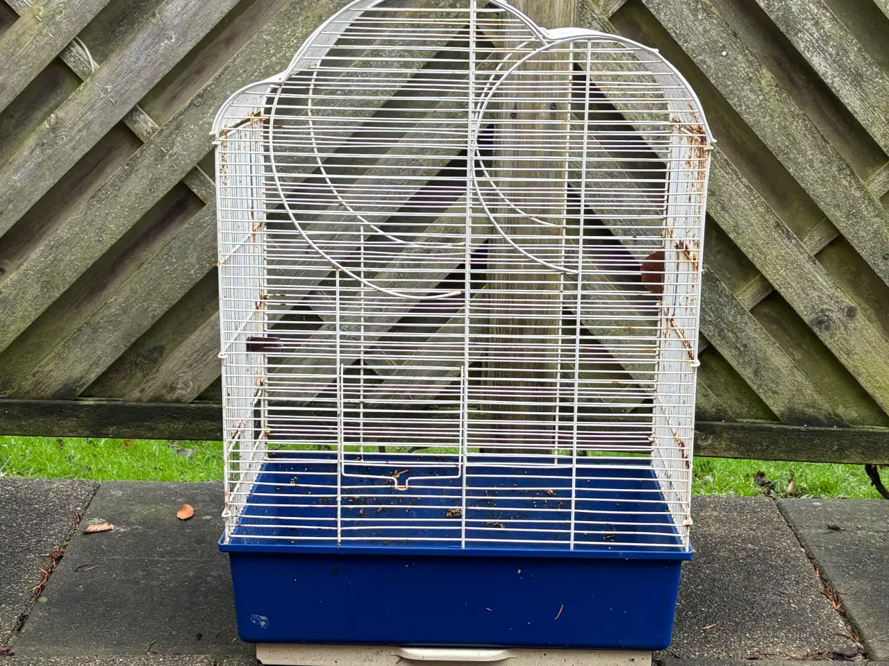 Billede 1 - Fuglebur 13