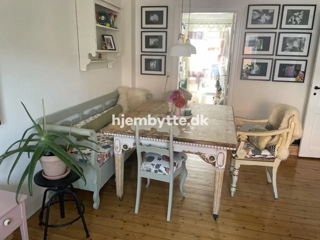 Billede 5 - Hjembytte - Tornskadestien