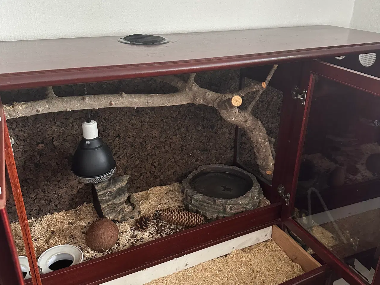 Billede 4 - Kongepyton med Terrarium / terrariumskab