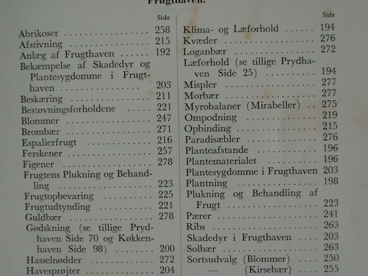 Billede 4 - landbohaven. prydhaven. køkkenhaven. frugthaven, A