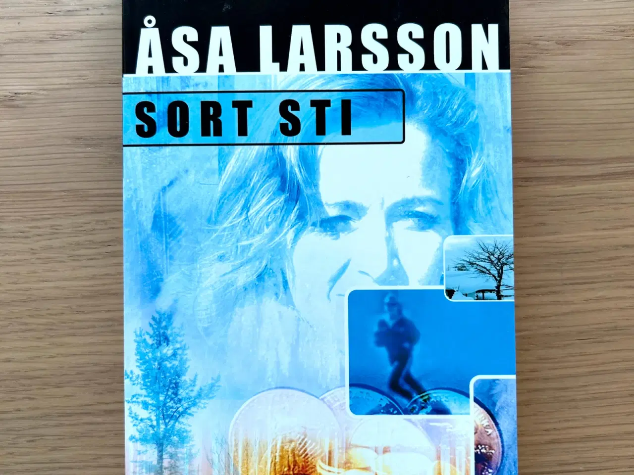 Billede 1 - Sort Sti af Åsa Larsson