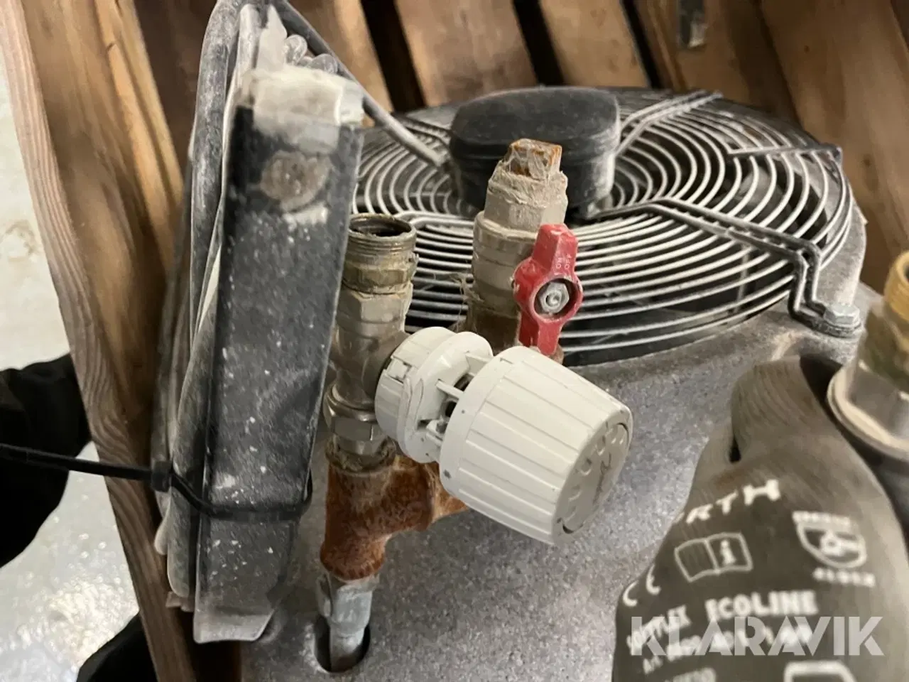 Billede 6 - Kaloiferer Gea og Sonniger 4 styk