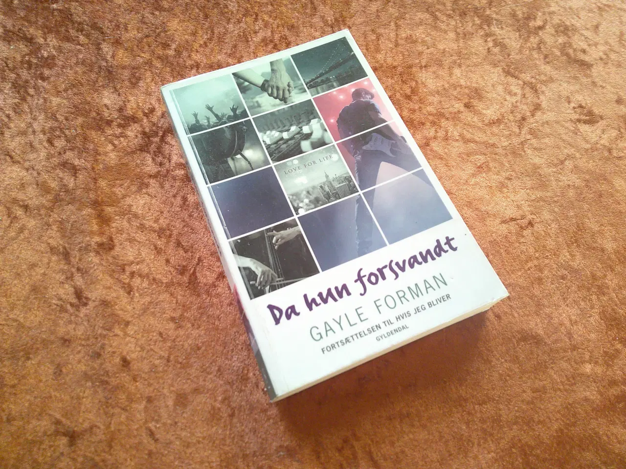 Billede 2 - Da hun forsvandt m.fl., Gayle Forman