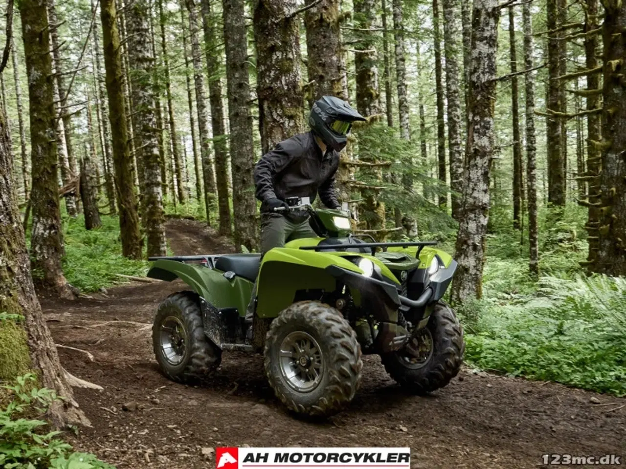 Billede 11 - Yamaha Grizzly 700 EPS