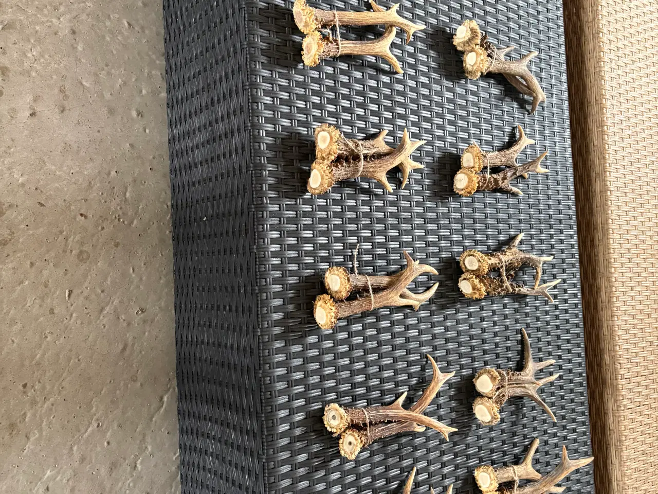 Billede 1 - Gevir fra rådyr