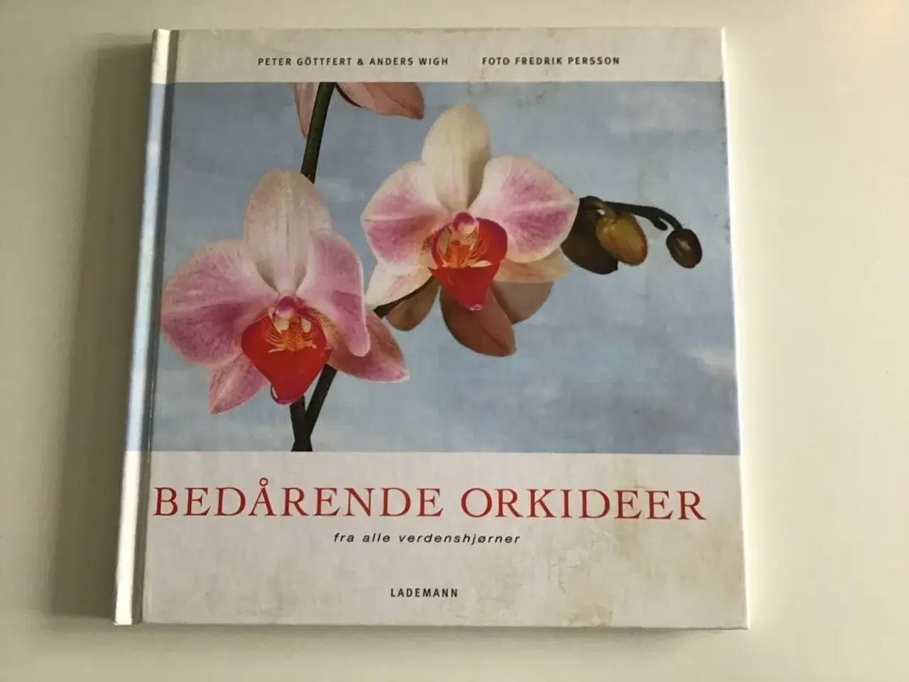 Billede 1 - Bedårende orkideer