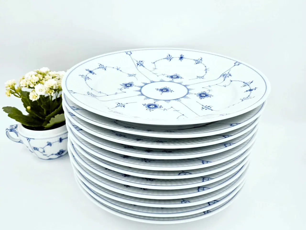 Billede 5 - Musselmalet Riflet Middagstallerken Porcelæn 