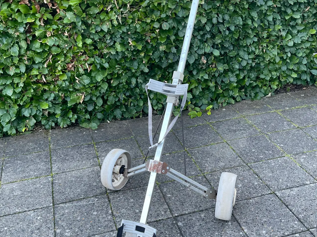 Billede 1 - Gl. Golf trolley