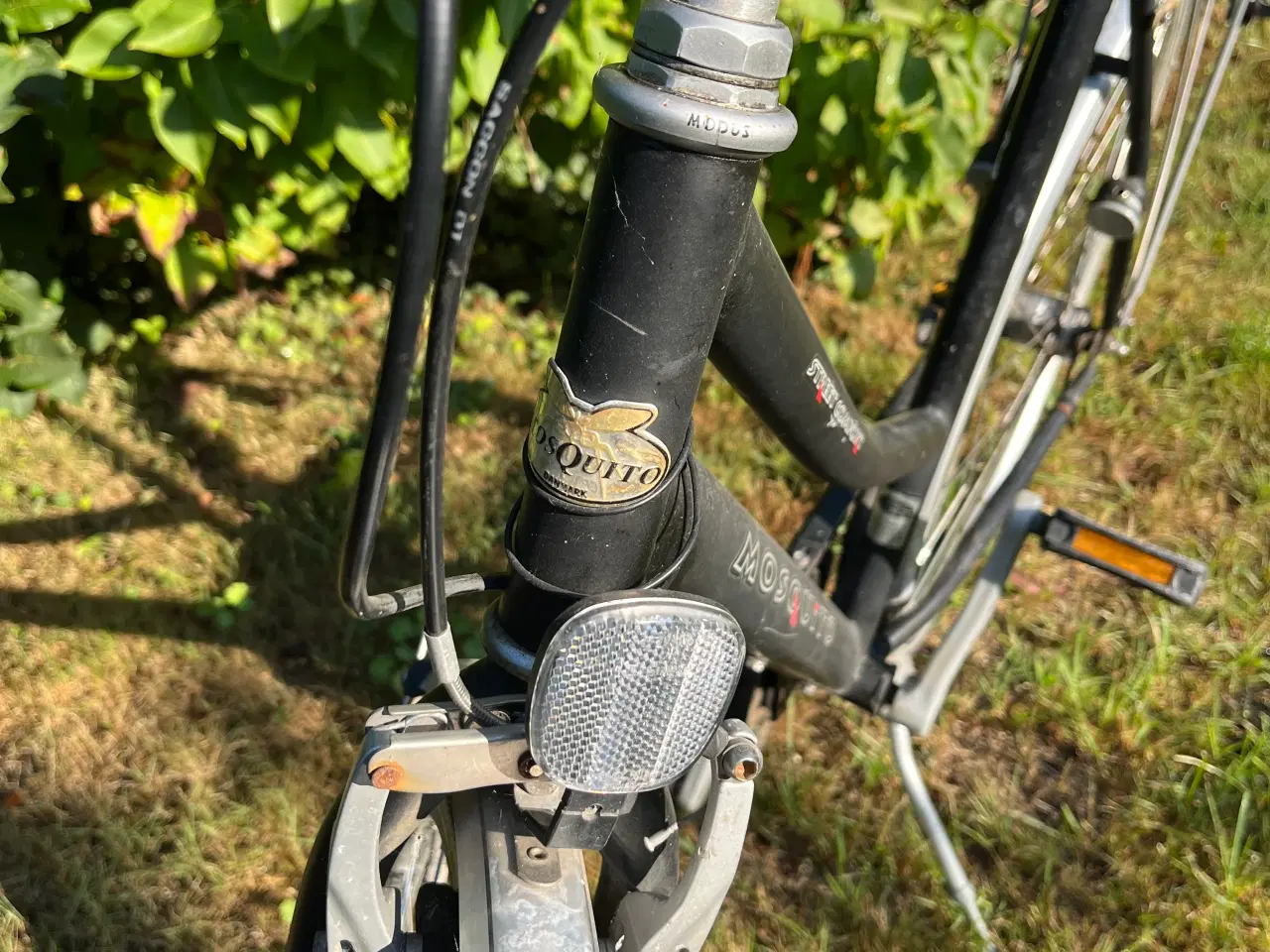 Billede 5 - Damecykel Mosquito Street Comfort