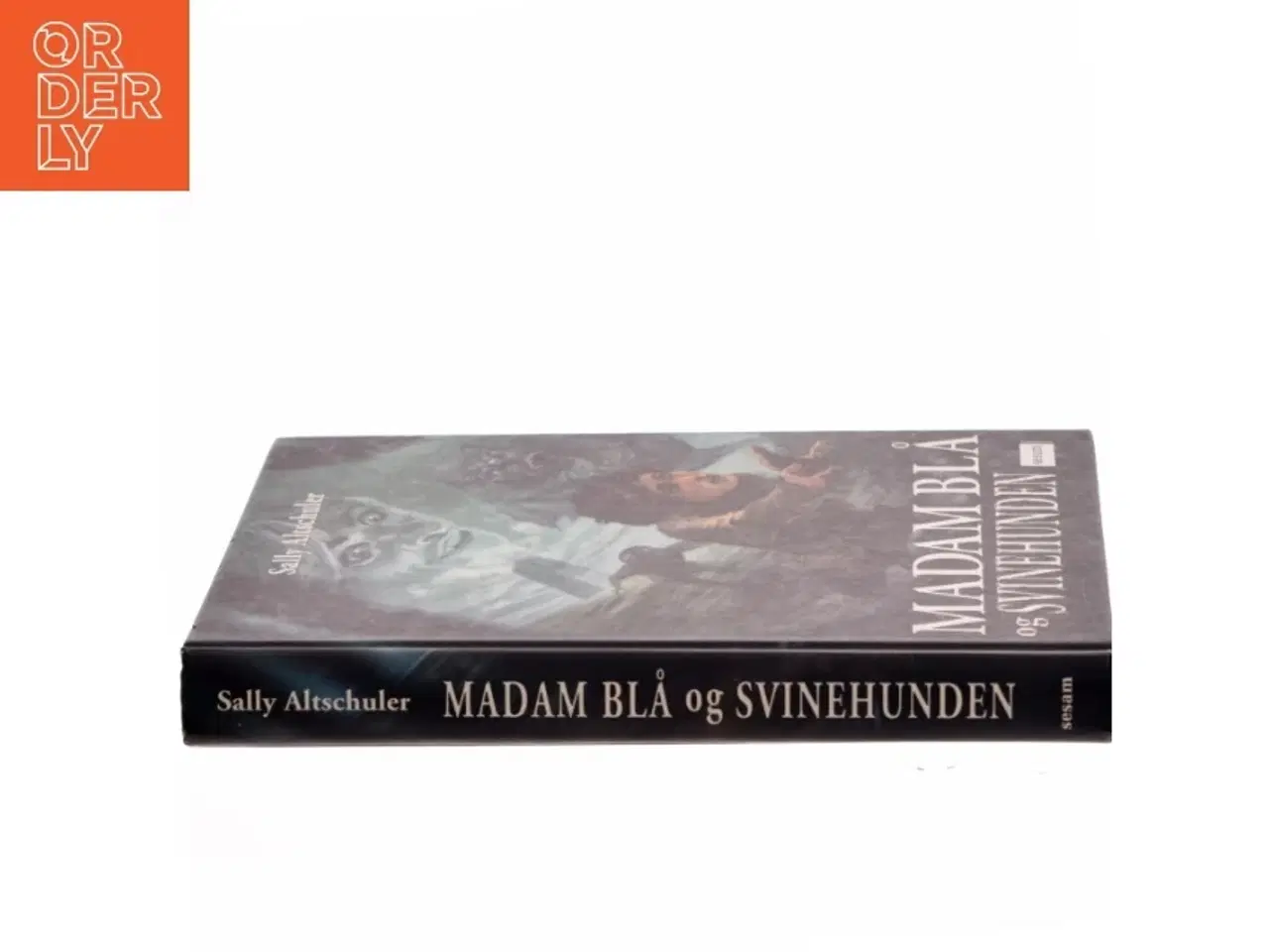 Billede 2 - Madam Blå og Svinehunden af Sally Altschuler (Bog)