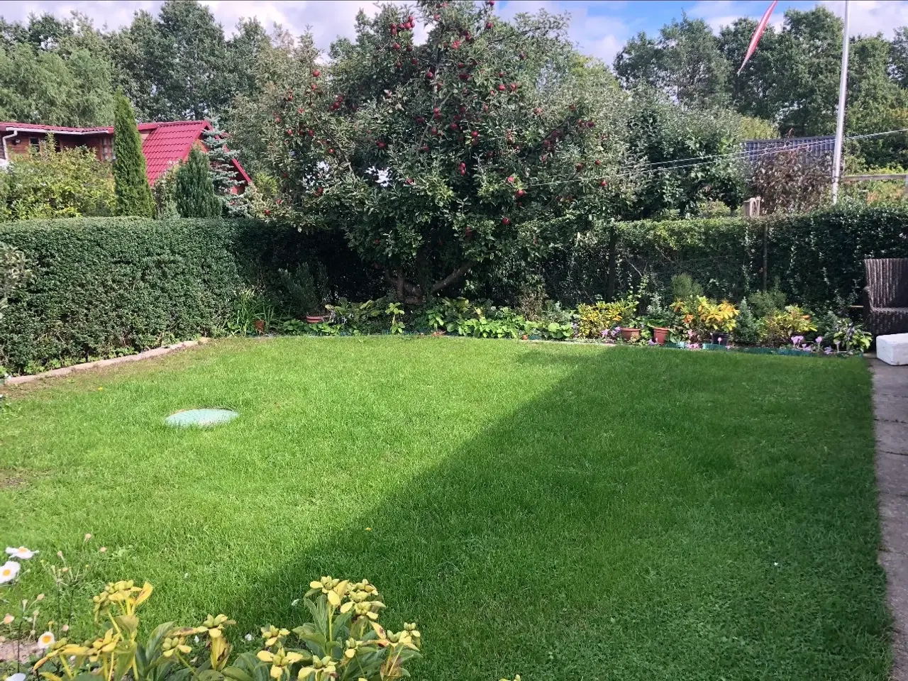 Billede 9 - Hyggeligt og veludnyttet kolonihavehus i Grønløkke