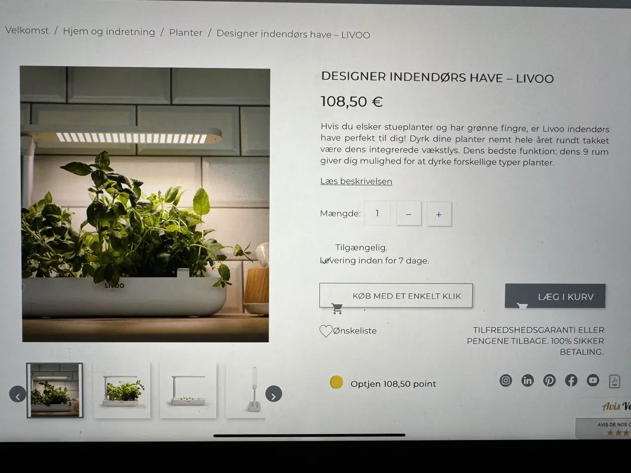 Billede 2 - Indendørs have til hjemmet