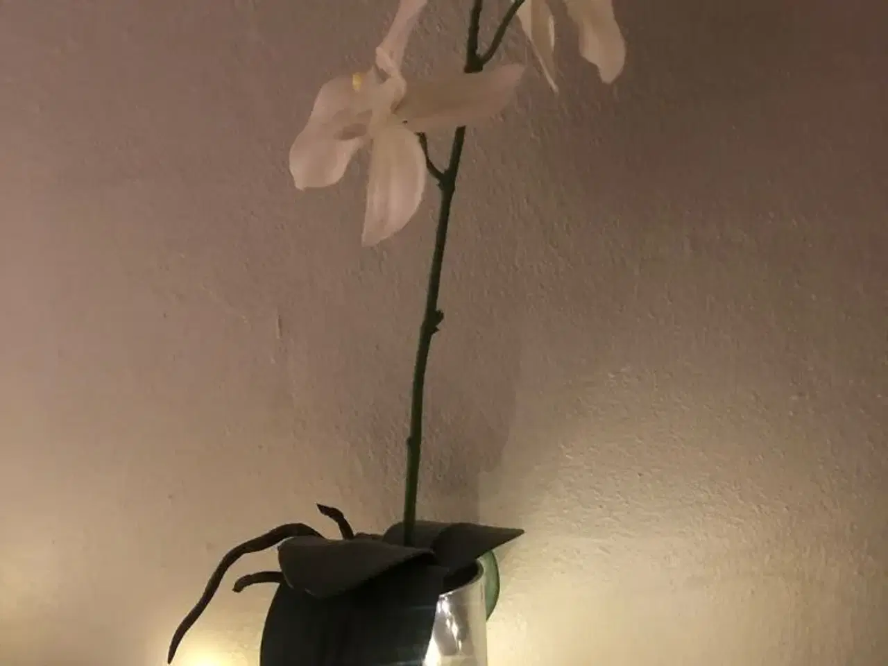 Billede 2 - Kunstig orkide i potte