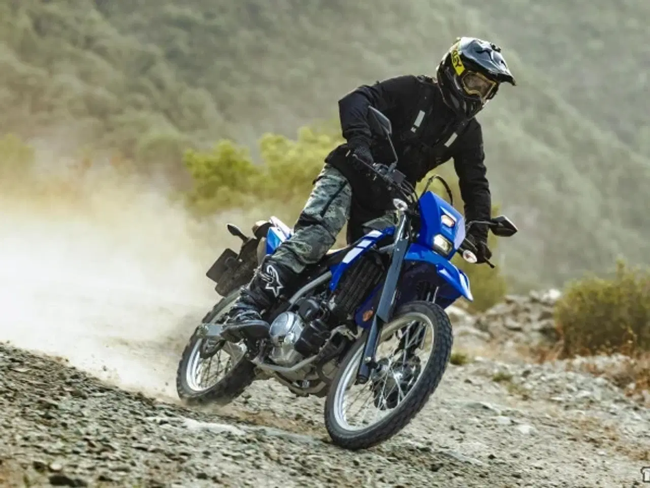 Billede 16 - Yamaha WR 125 R