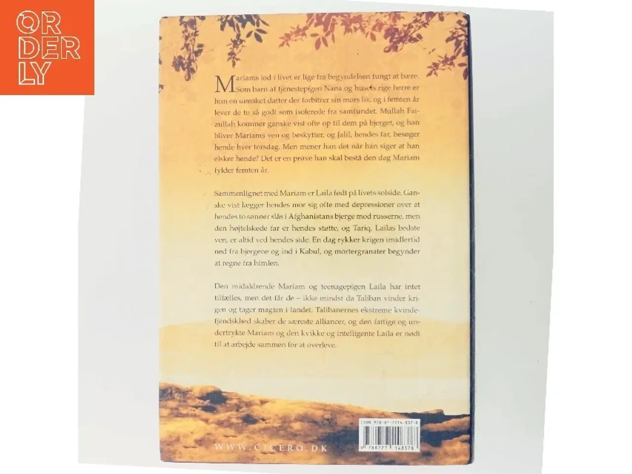 Billede 3 - Under en strålende sol af Khaled Hosseini (Bog)