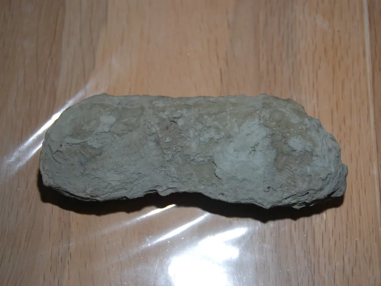Billede 2 - Fossil