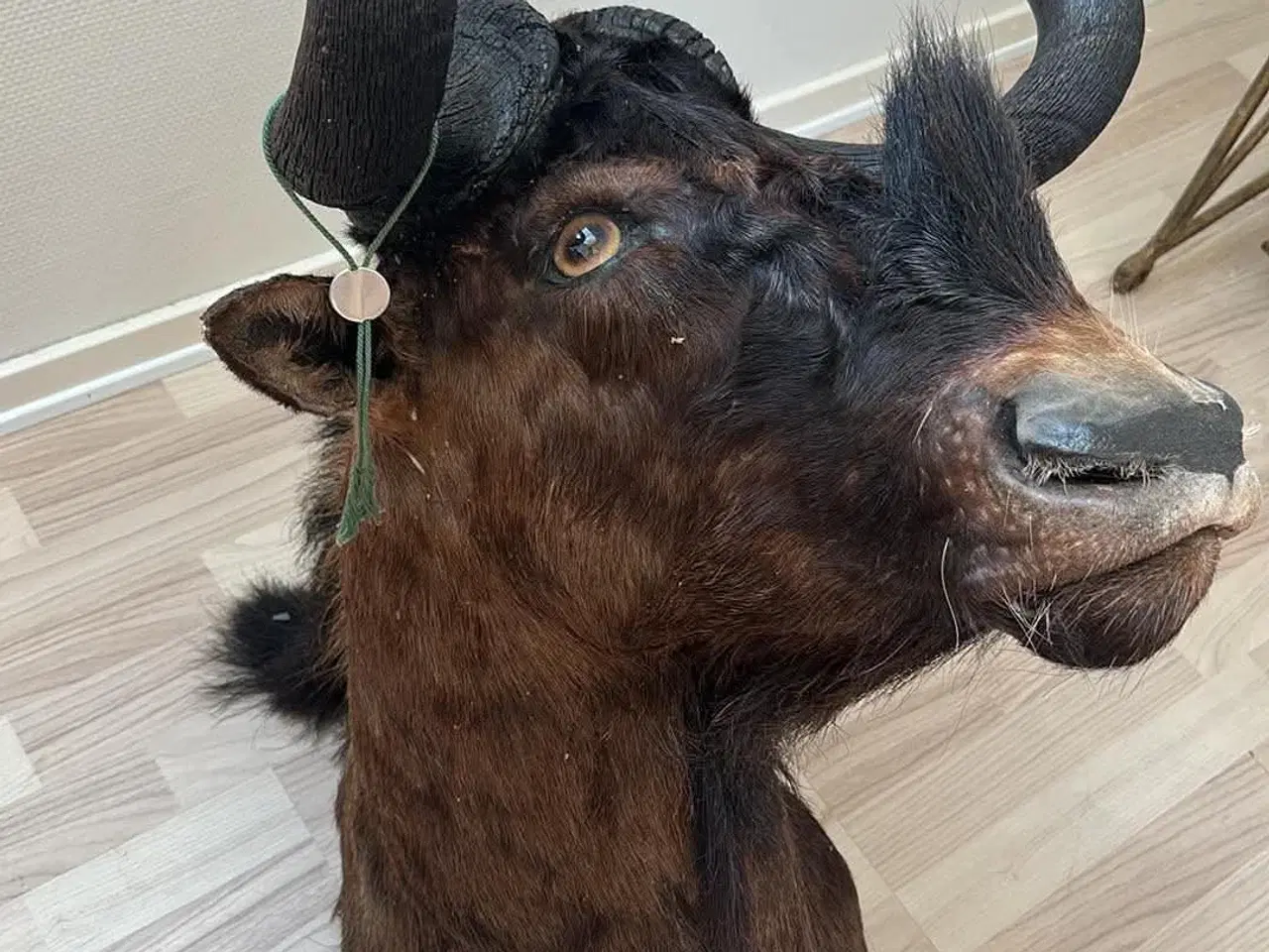 Billede 1 - Udstoppet gnu